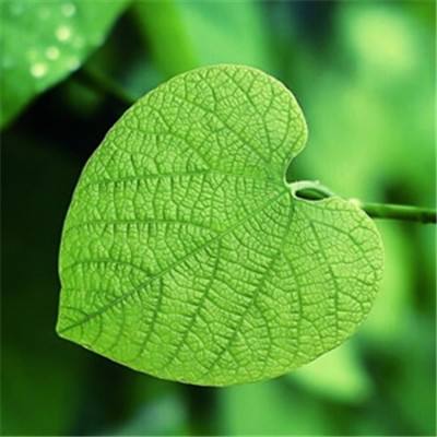 借张雪峰去世鼓吹养心类产品疗效 主播让病人“把医院的药减了”